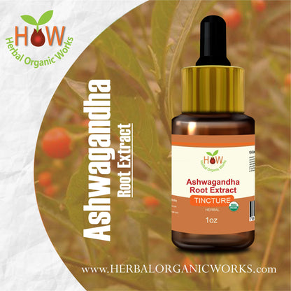 Ashwagandha Root Extract | Stress Relief