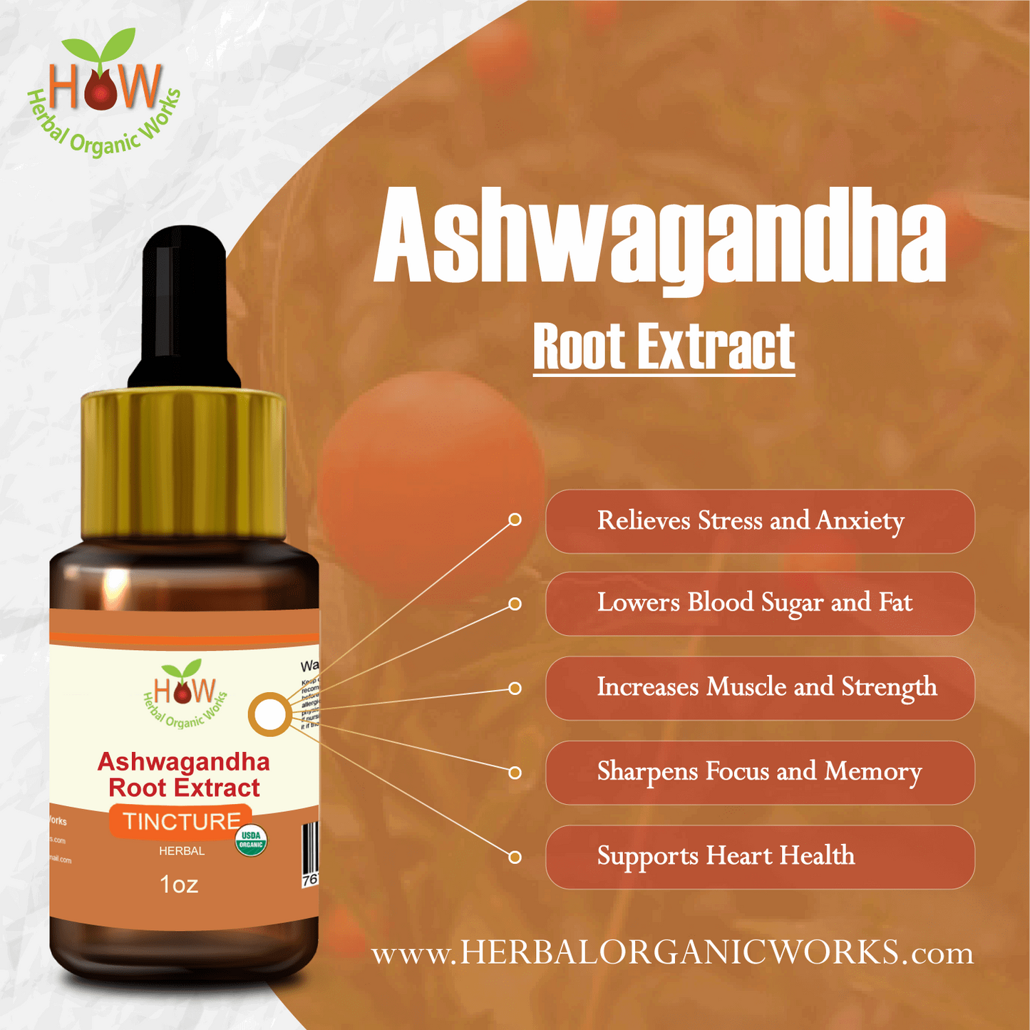 Ashwagandha Root Extract | Stress Relief