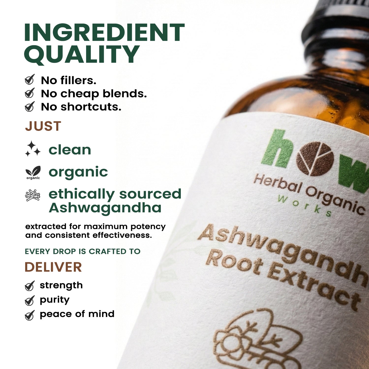Ashwagandha ingredients