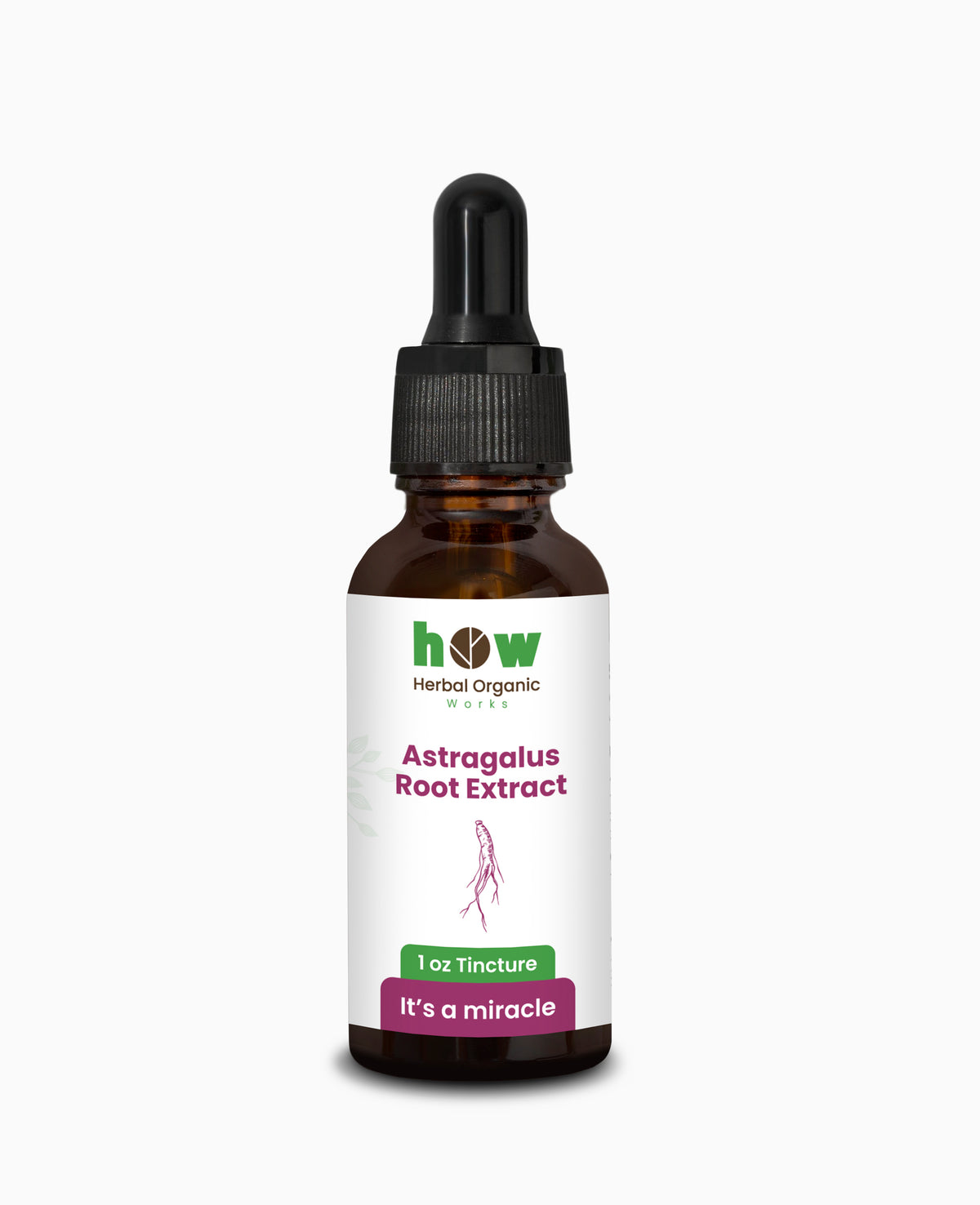 Astragalus Root Extract1