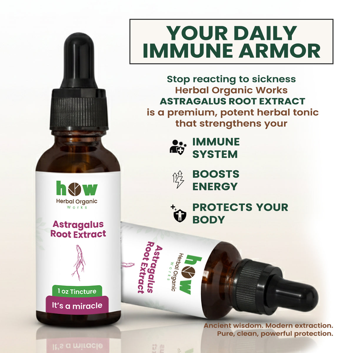 Astragalus extract natural support