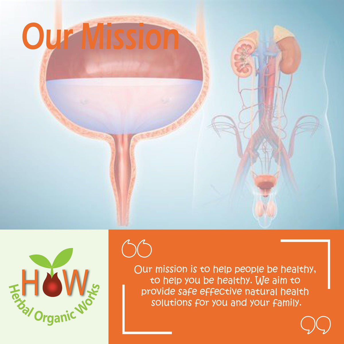 BLADDER PROBLEMS(HOW23)