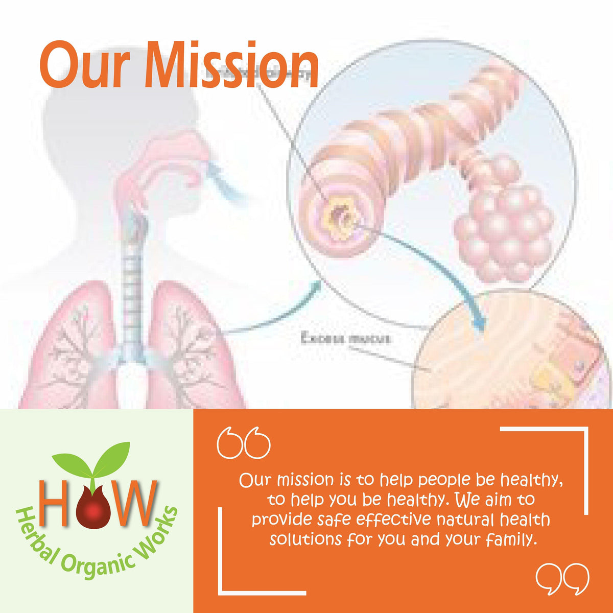 BRONCHITIS AND CHRONIC COUGHS-(HOW13)