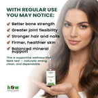 Bamboo tincture benefits