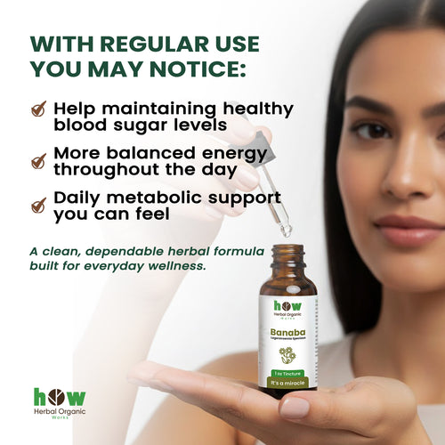 Banaba tincture benefits