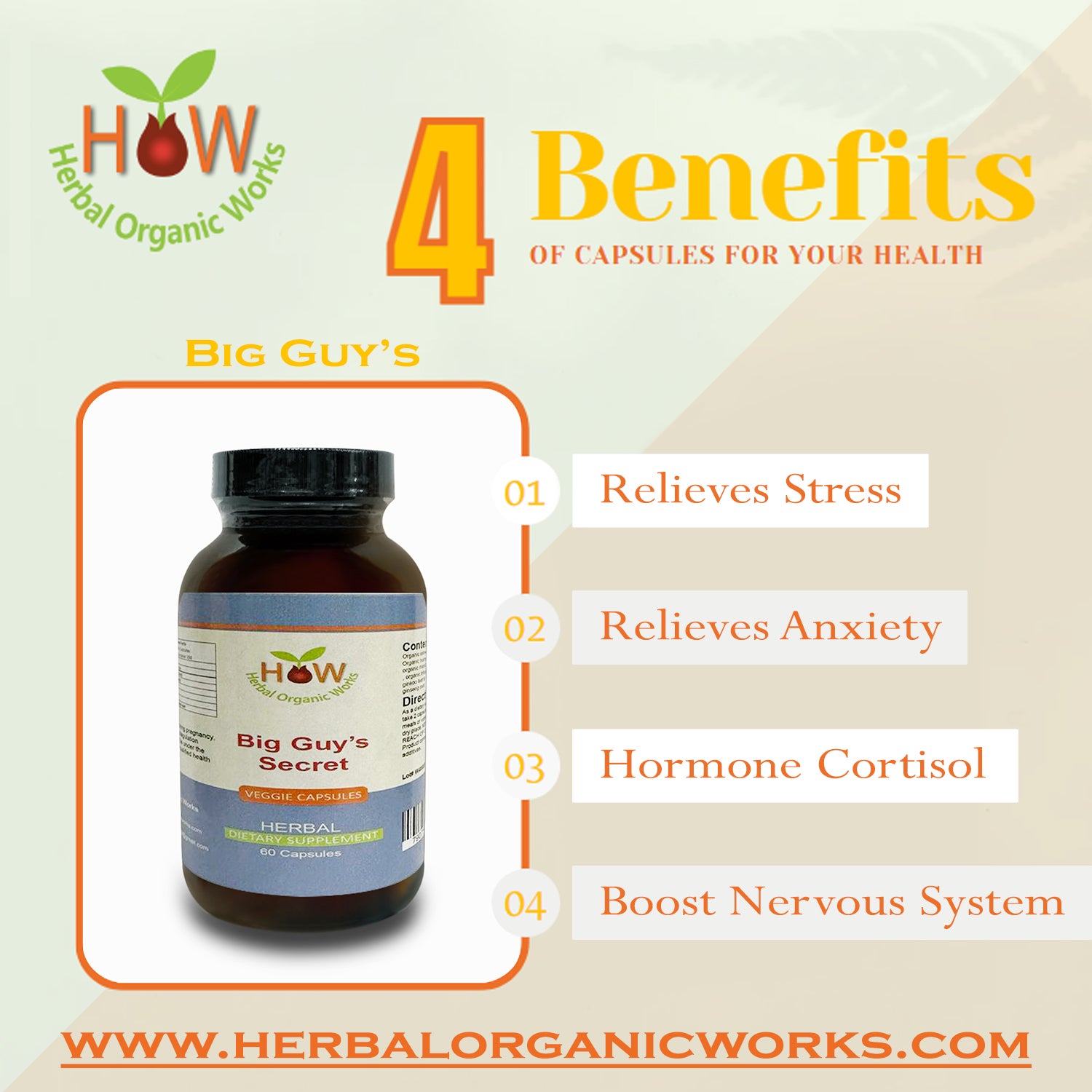 Big Guy's Secret Supplements