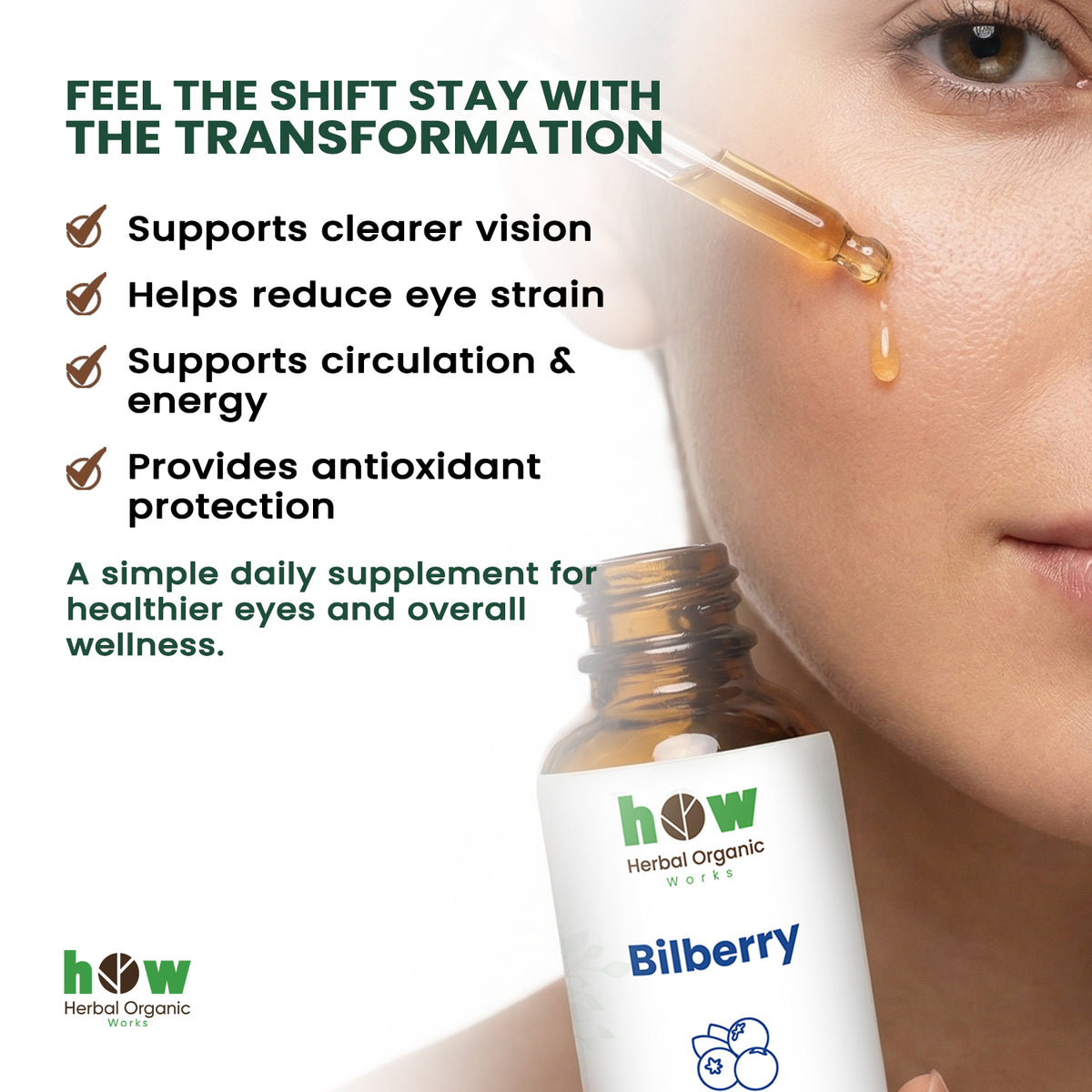 Bilberry extract benefits