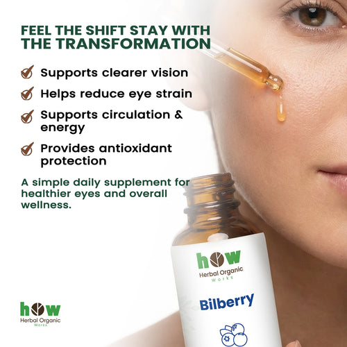 Bilberry extract benefits