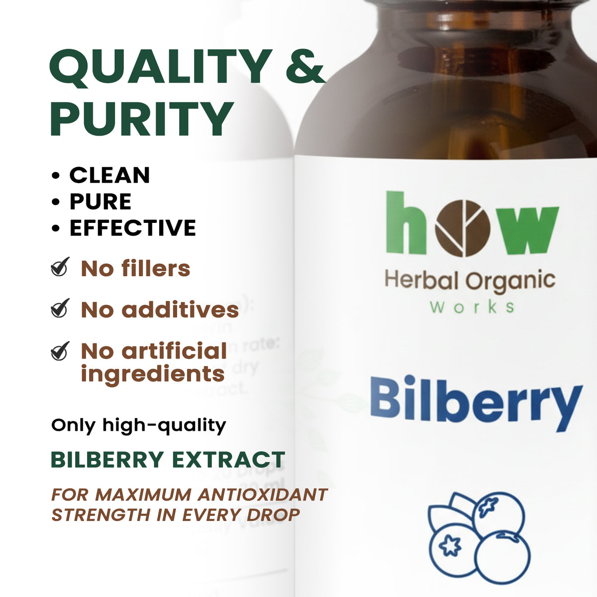 Bilberry extract quality