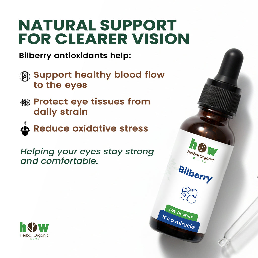Bilberry extract works