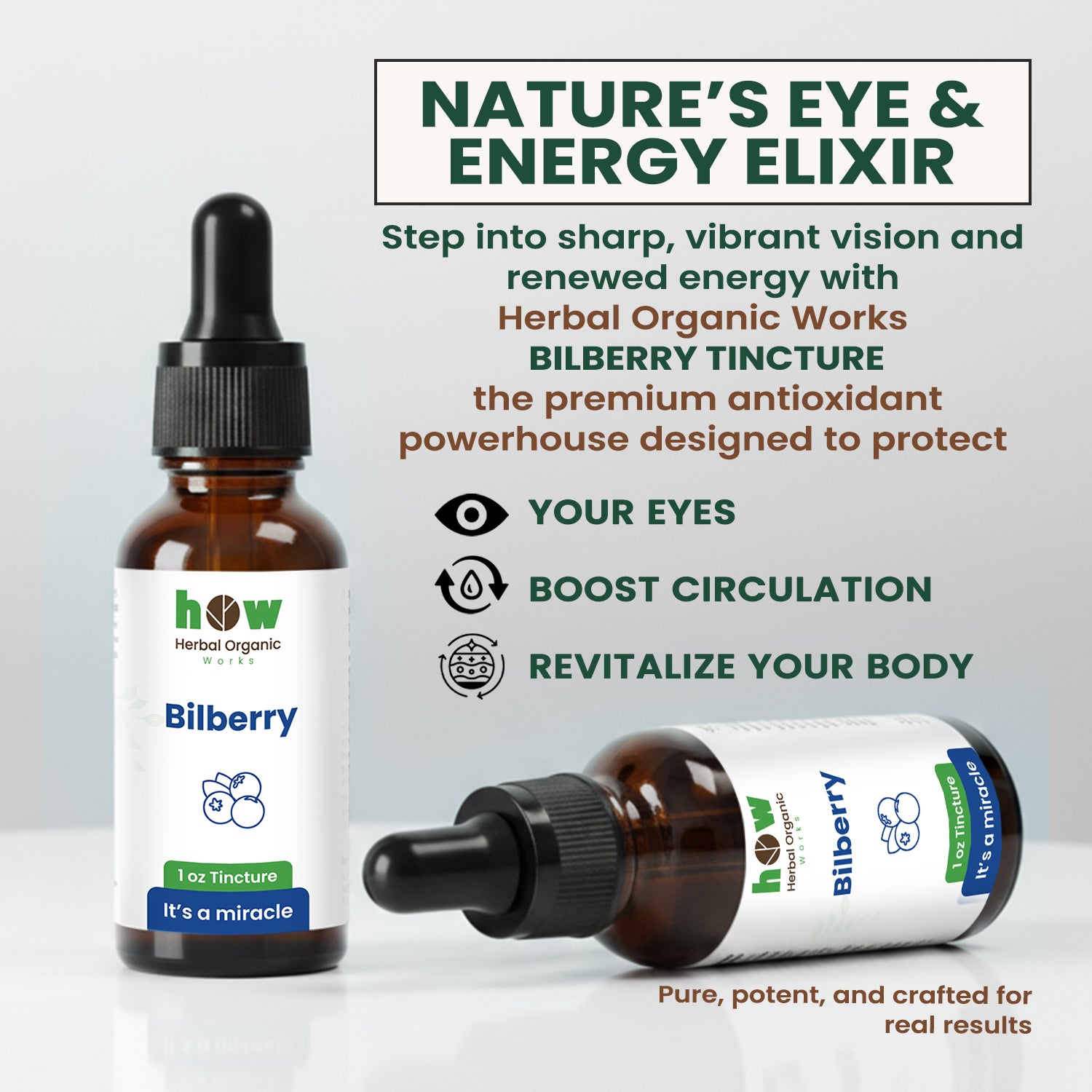 Bilberry natural support