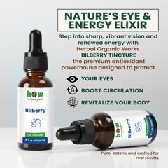 Bilberry natural support
