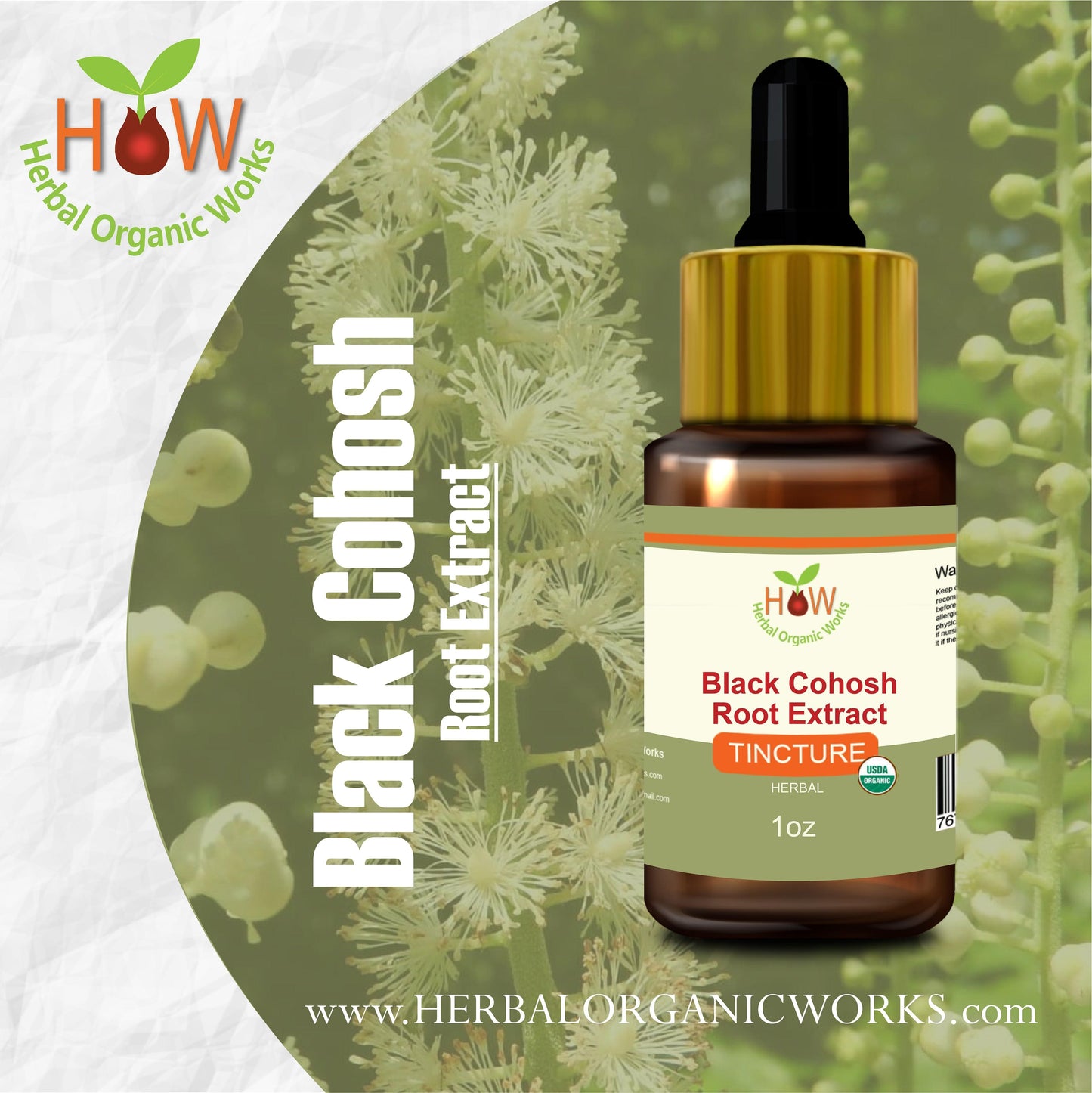 Black Cohosh