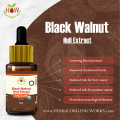 Black Walnut