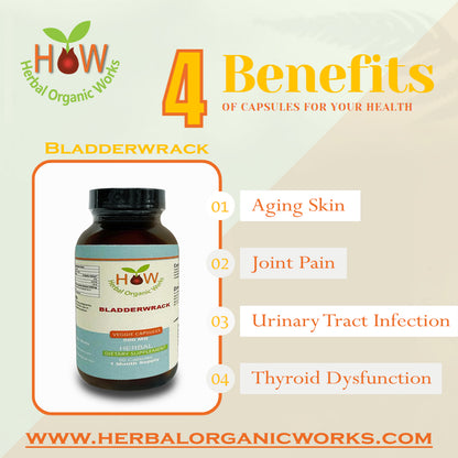Bladder Wrack Supplements | Anti-Aging