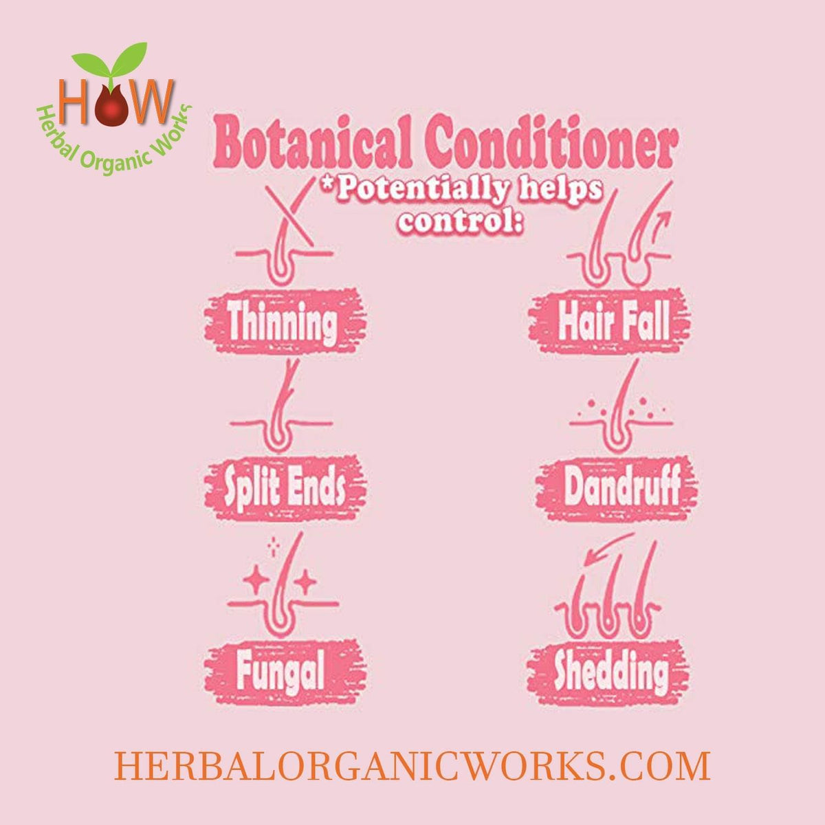 BOTANICAL CONDITIONER HAIR FOOD