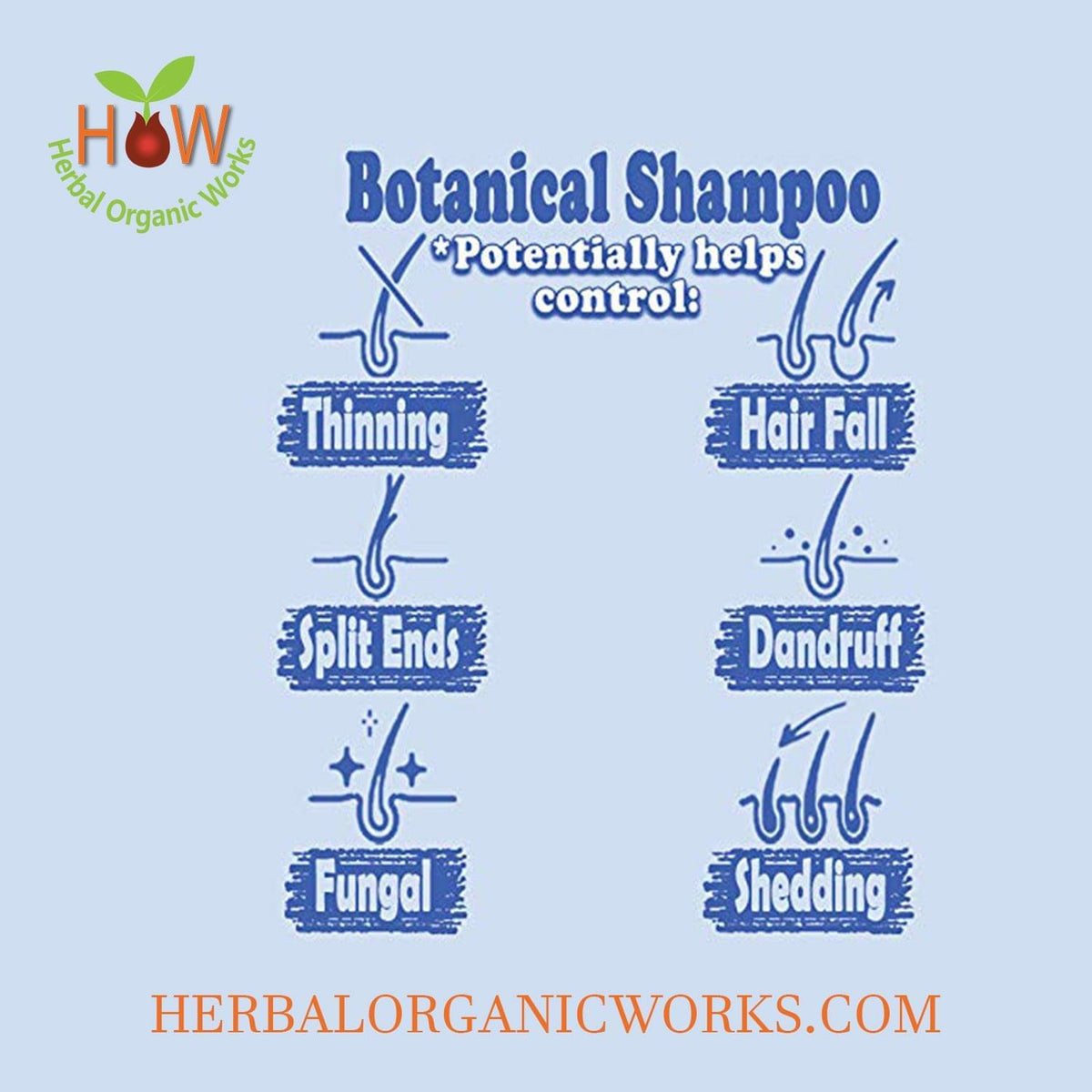 BOTANICAL SHAMPOO HAIR FOOD