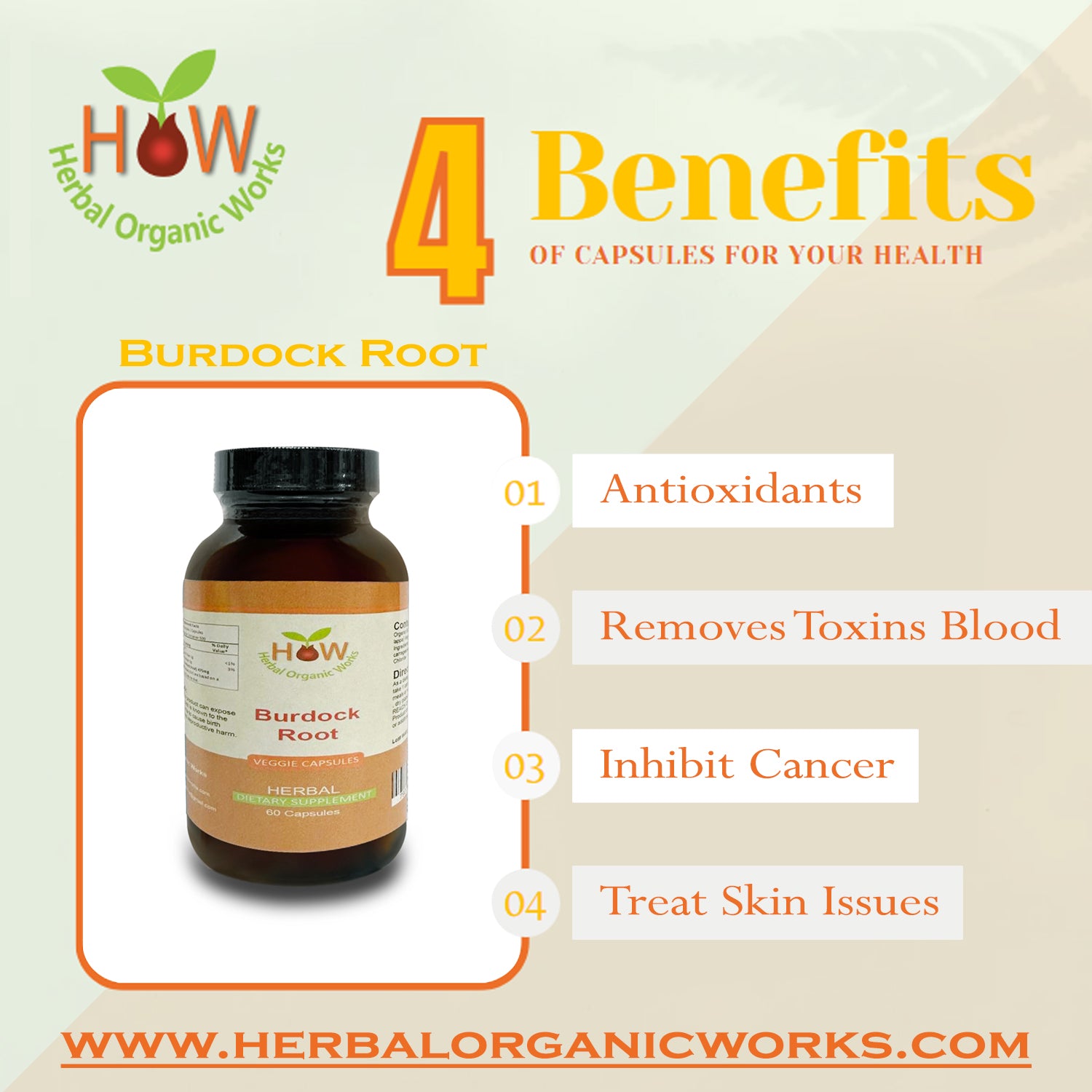 Burdock Root | Blood Cleanser