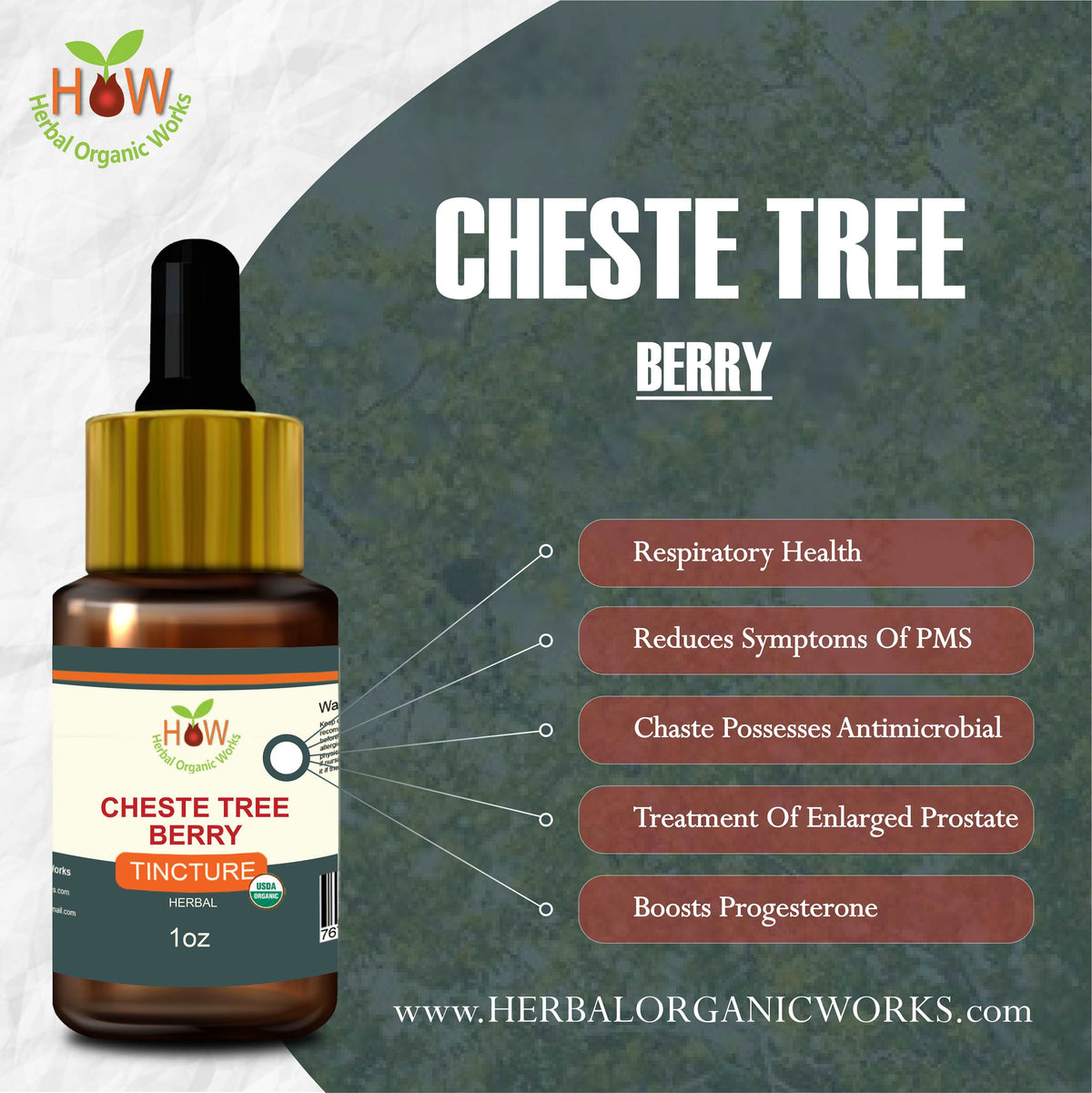Cheste Tree berry