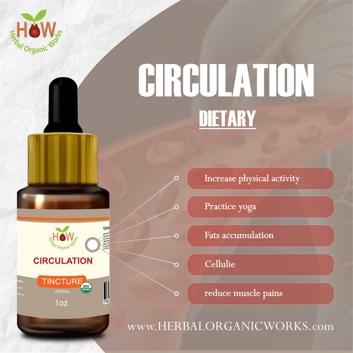 Circulation