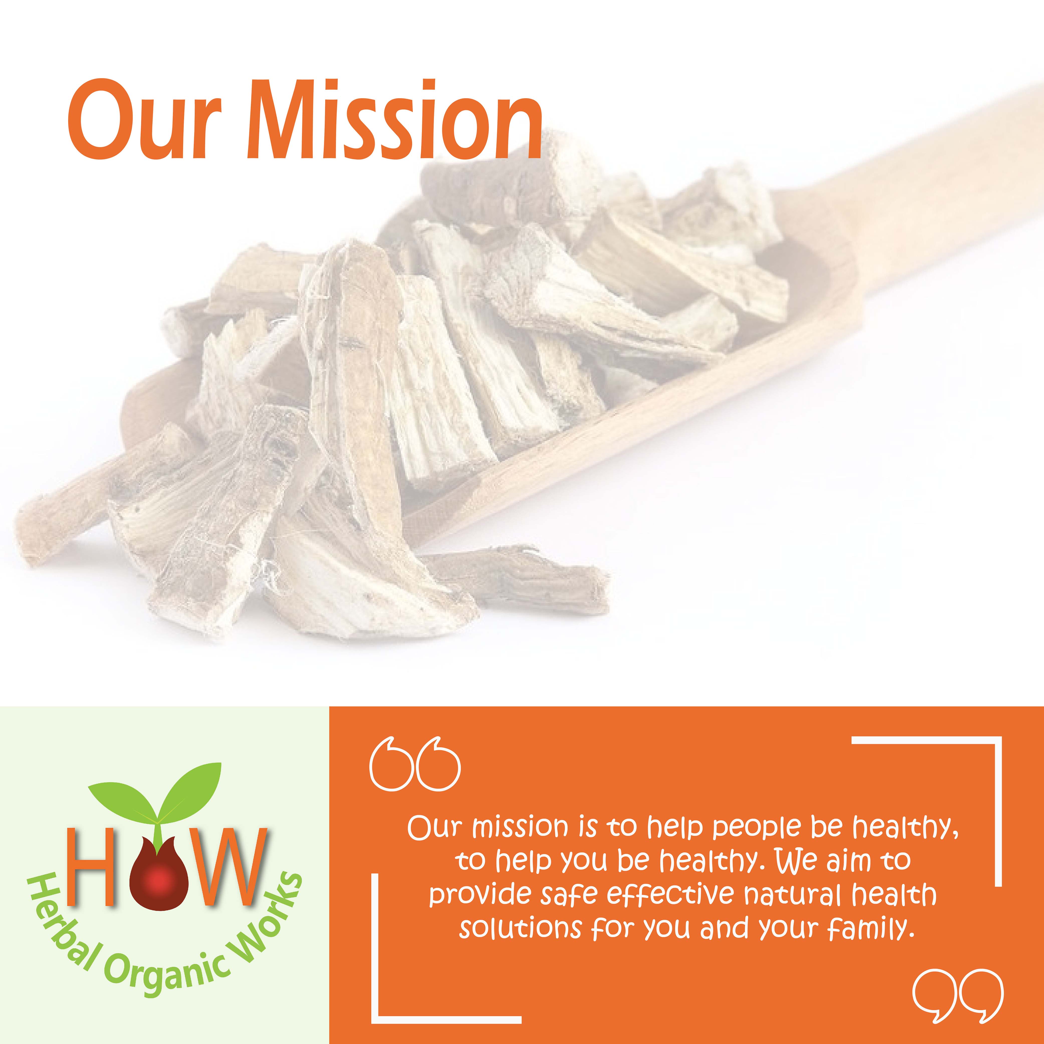 CONSTIPATION RELIEF SUPPLEMENT  (BIO 4)