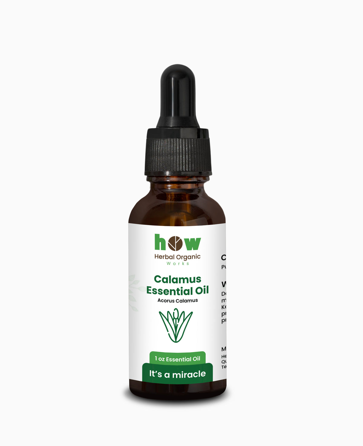Calamus Essential Oil – Premium Herbal Oil for Hair & Skin | 1 oz