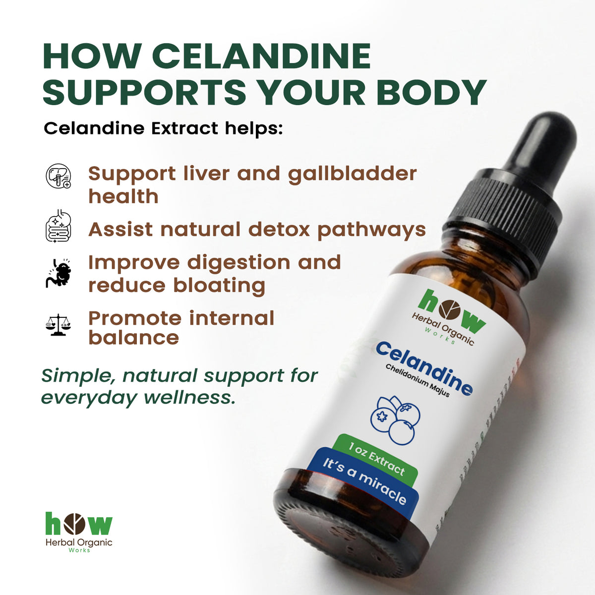 Calendine extract for body
