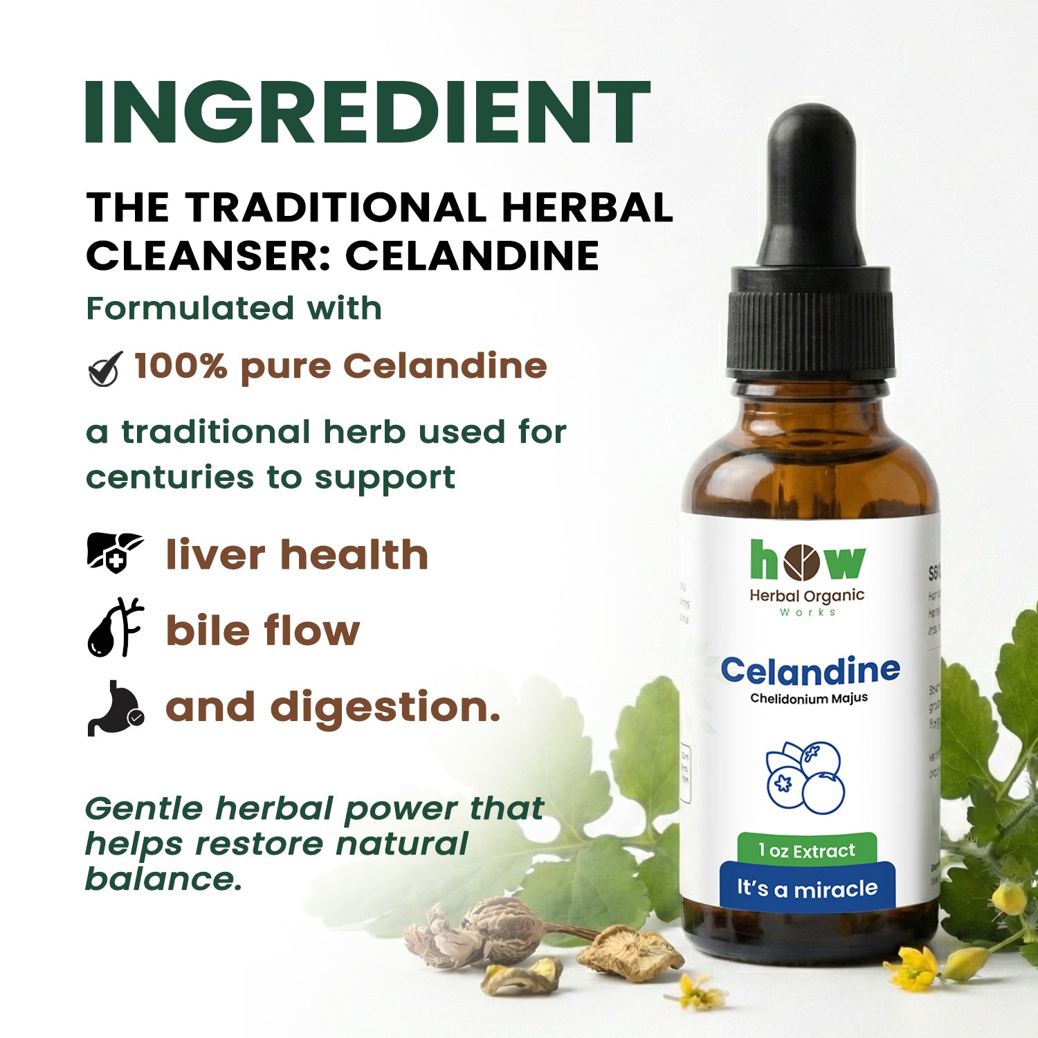 Calendine extract ingredients