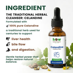 Calendine extract ingredients