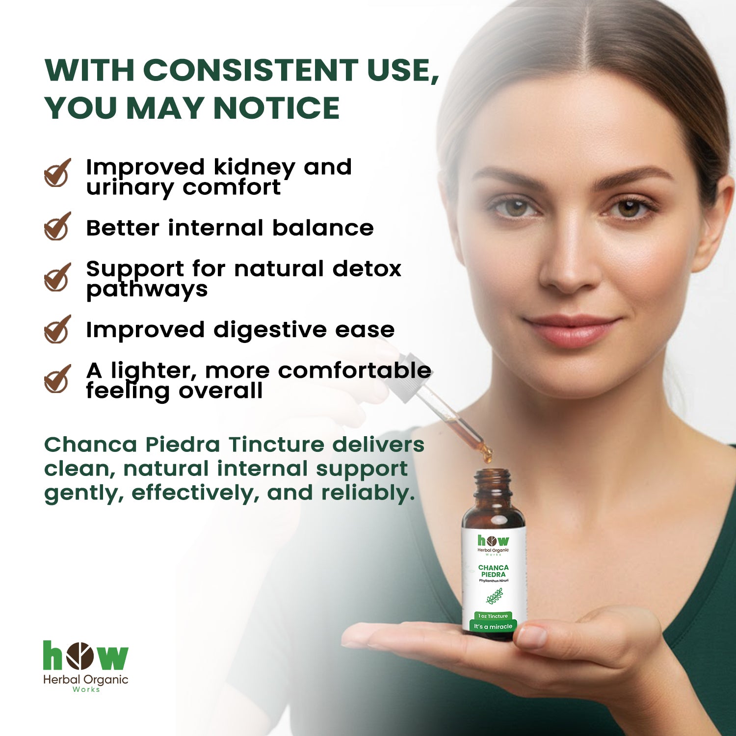 Chanca piedra Tincture benefits