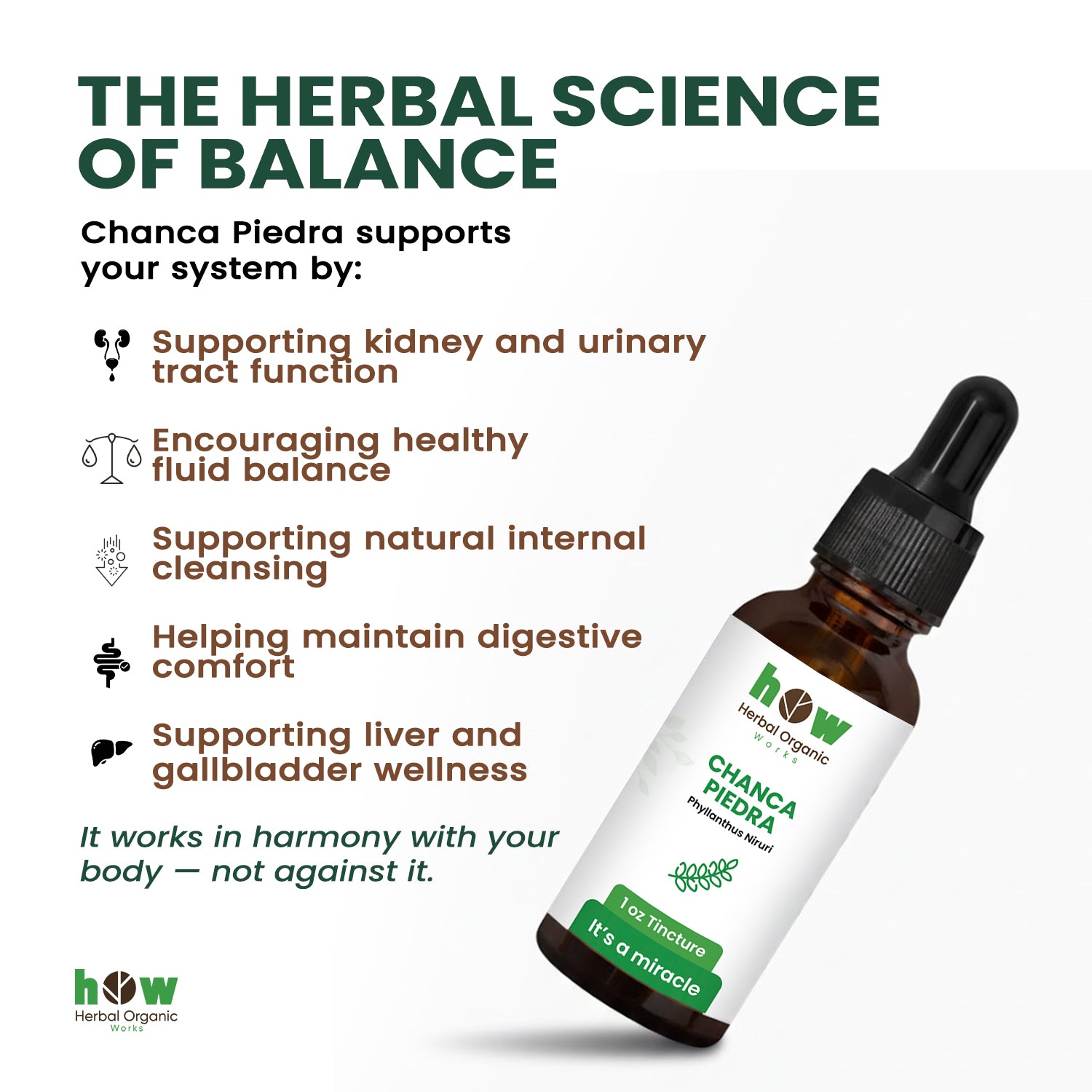 Chanca piedra Tincture works