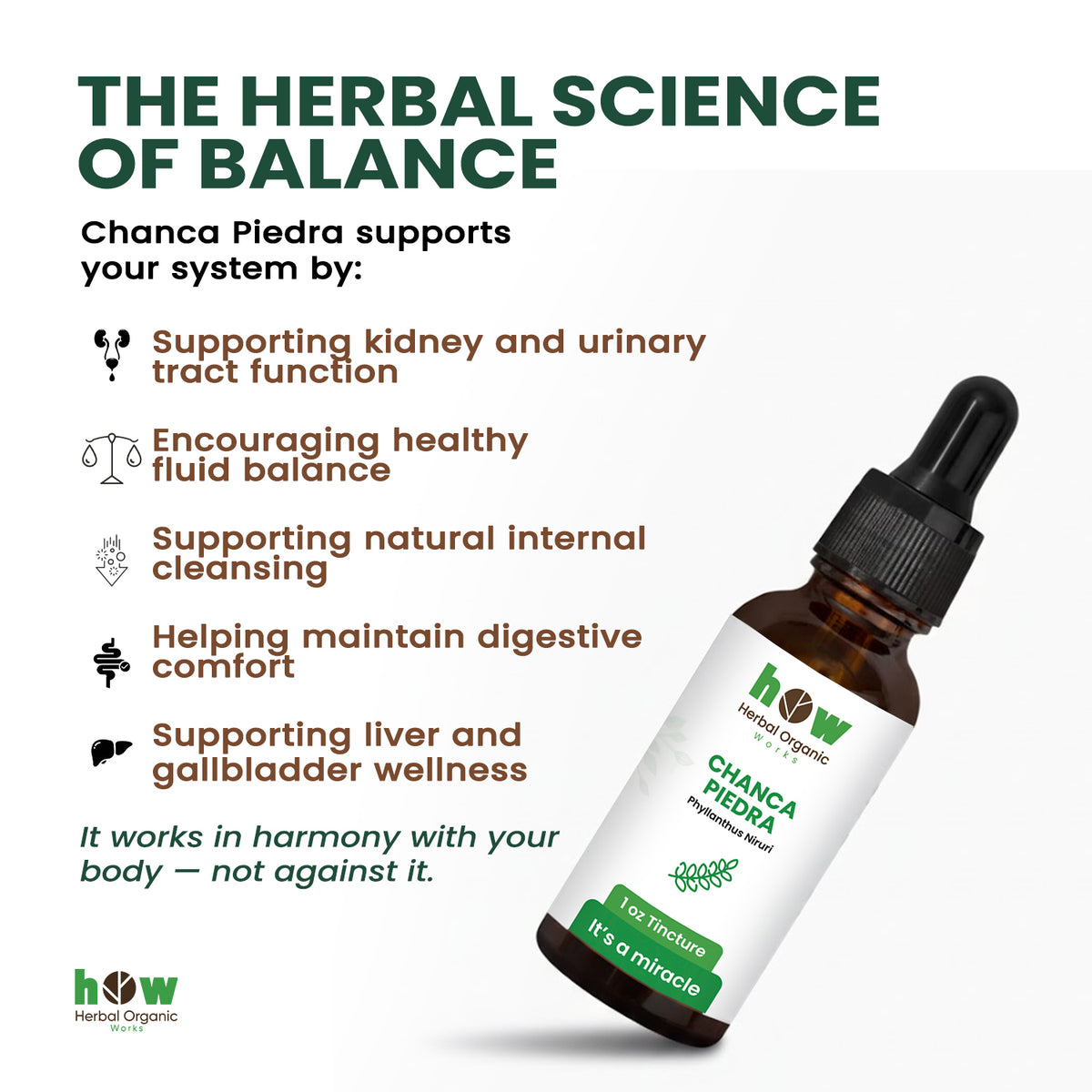 Chanca piedra Tincture works