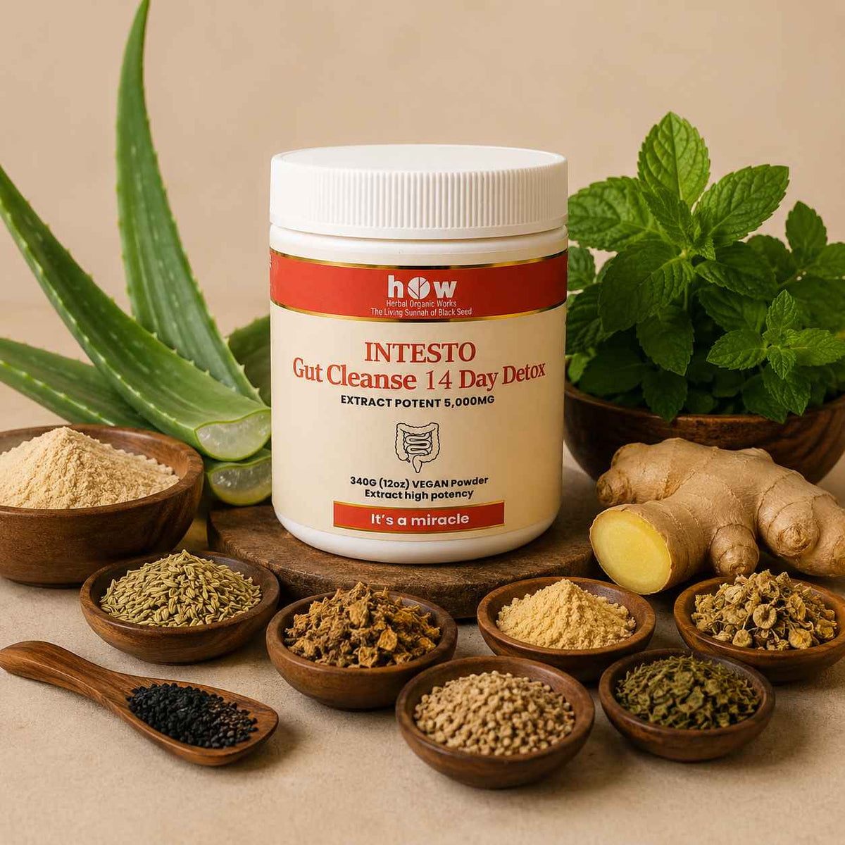 Intesto Gut Cleanse 14 Day Detox | Bloating, Digestion & Gut Health Support