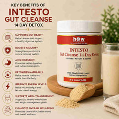 Intesto Gut Cleanse 14 Day Detox | Bloating, Digestion & Gut Health Support