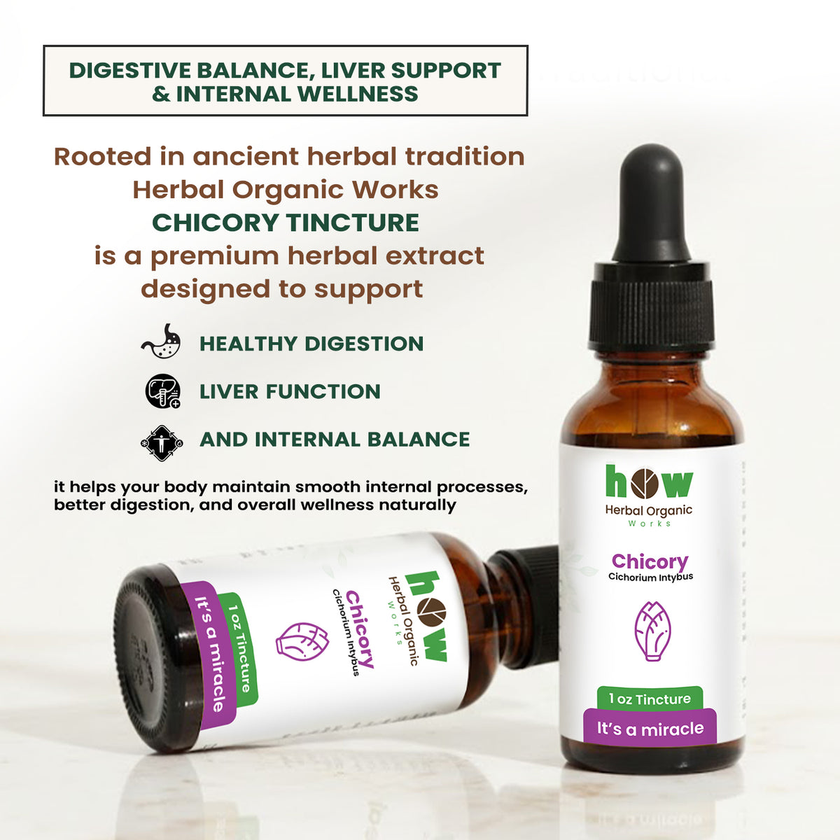 Chicory Tincture