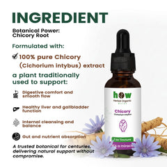 Chicory Tincture ingredients