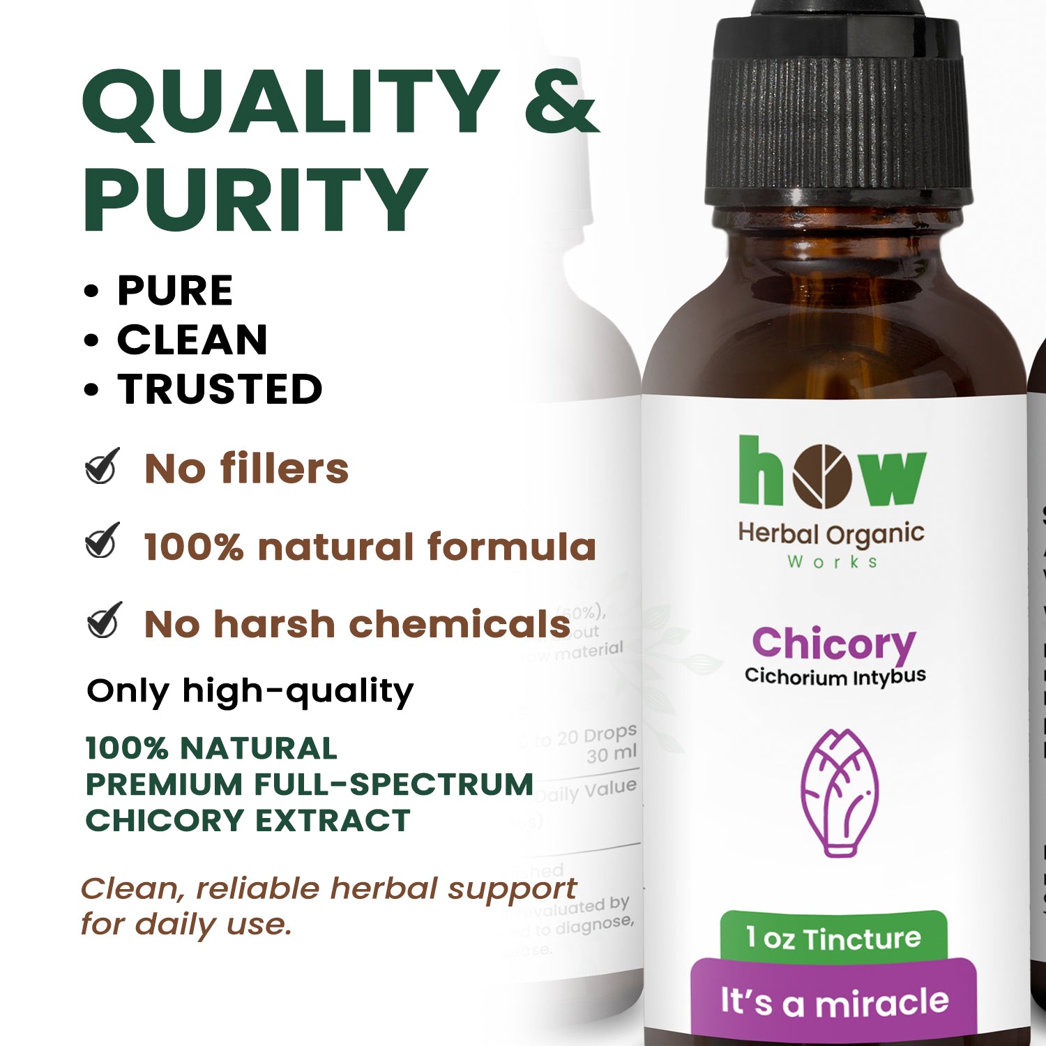 Chicory Tincture quality