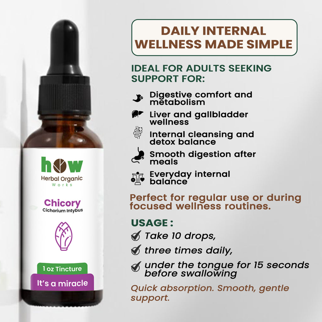 Chicory Tincture uses