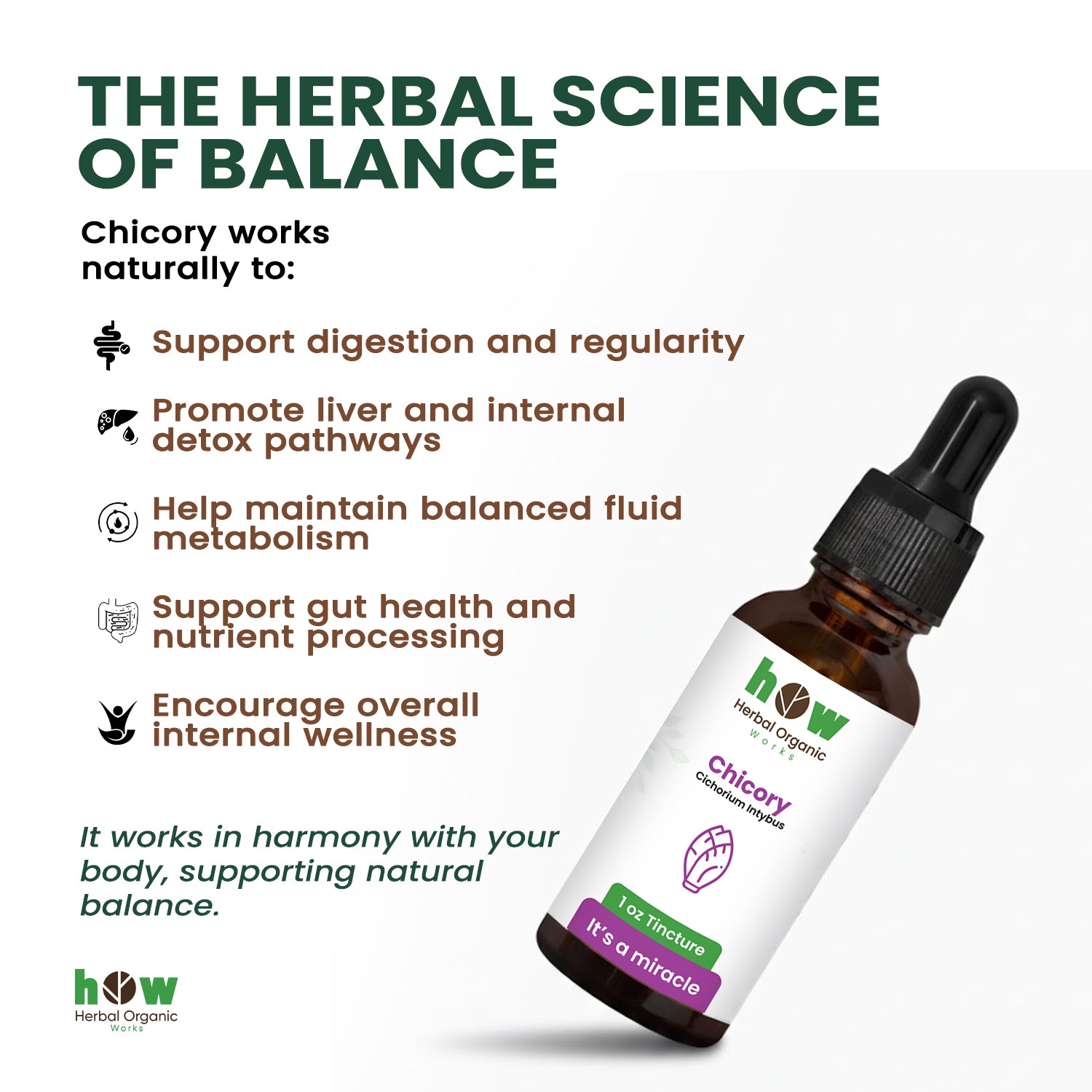 Chicory Tincture works