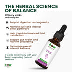 Chicory Tincture works