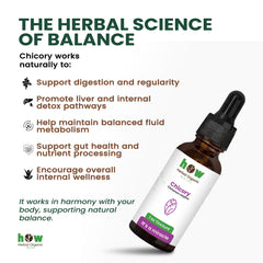 Chicory Tincture works