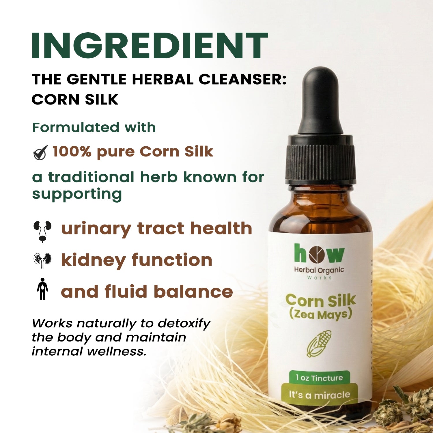 Corn silk extract ingredients