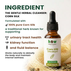 Corn silk extract ingredients