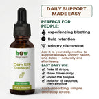 Corn silk extract uses