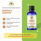DIARRHEA AND DYSENTERY REMEDY (HOW4)