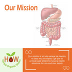 DIGESTIVE AID FOR IMPROVED ABSORPTION OF NUTRIENTS (HOW213)