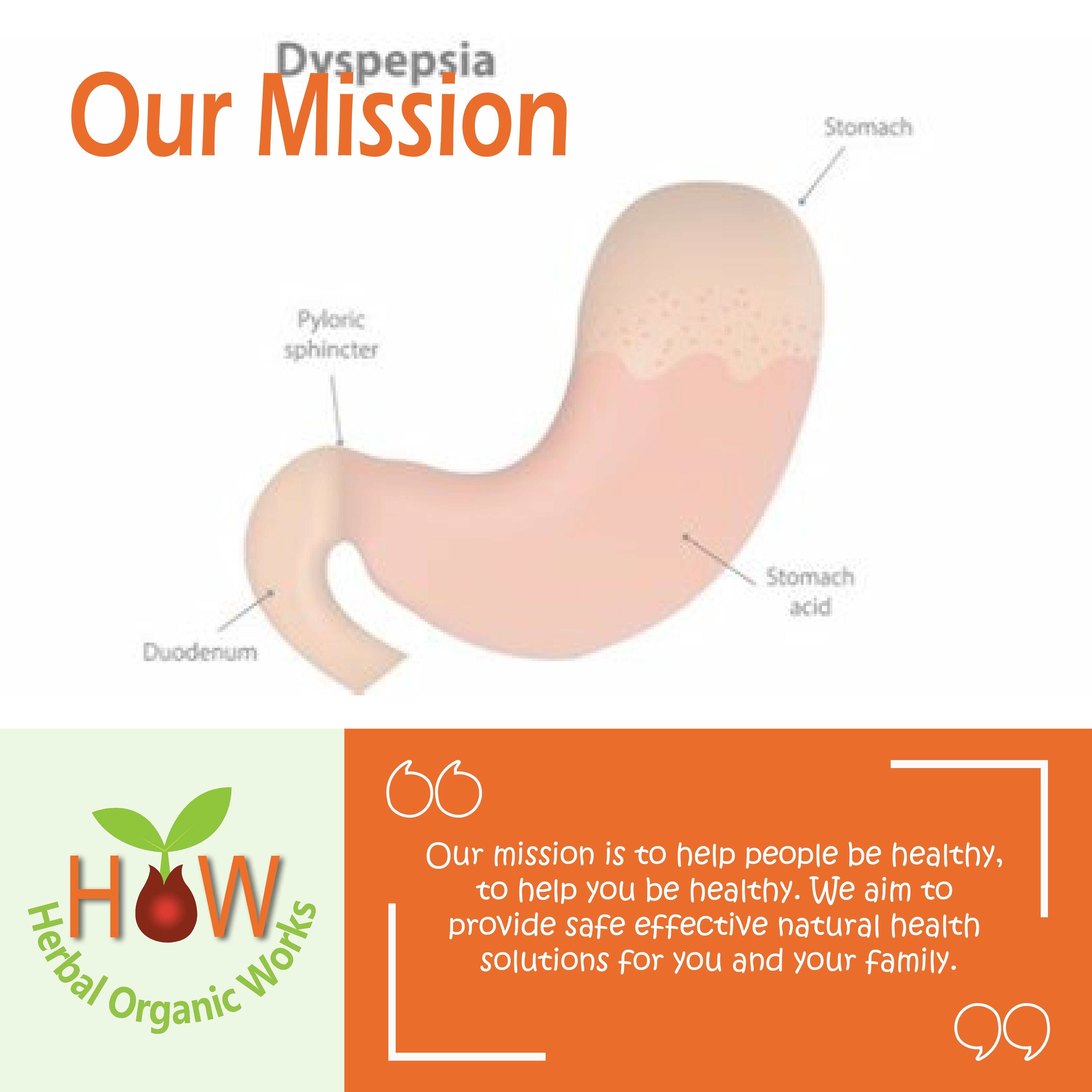 DYSPEPTIC SYNDROME NATURAL REMEDY (HOW154)