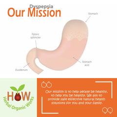 DYSPEPTIC SYNDROME NATURAL REMEDY (HOW154)