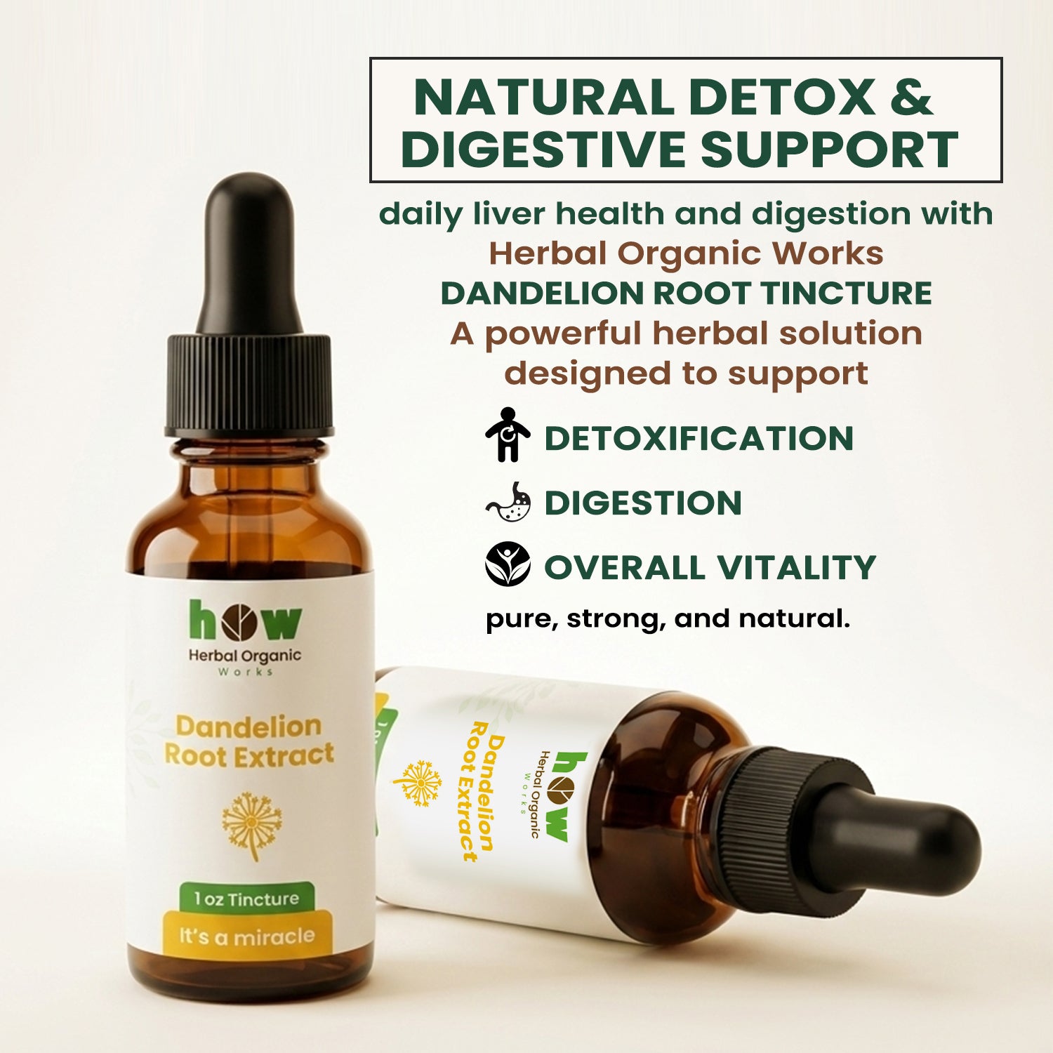 Dandelion root extract