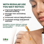 Dandelion root extract benefits